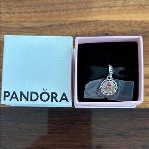 Pandora Moments School Teacher Dangle Charm